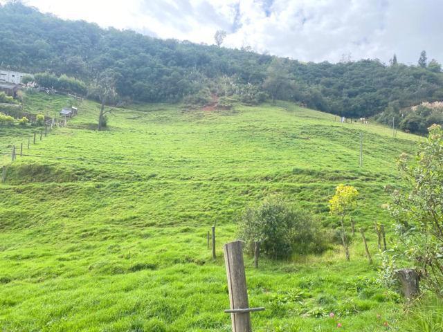 Oportunidad Terreno 2 hectáreas en venta sector Tutupali Chico