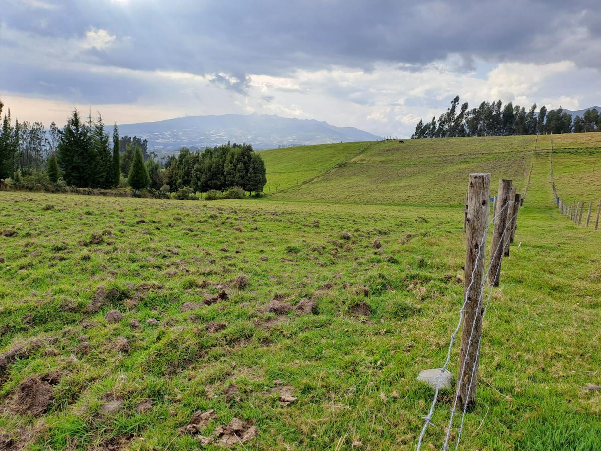 LINDO TERRENO DE 5 HAS EN VENTA SECTOR CARIACU - CAYAMBE