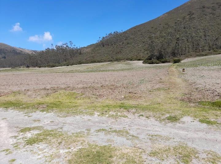 Terreno de 100 hectáreas en venta en Calacalí