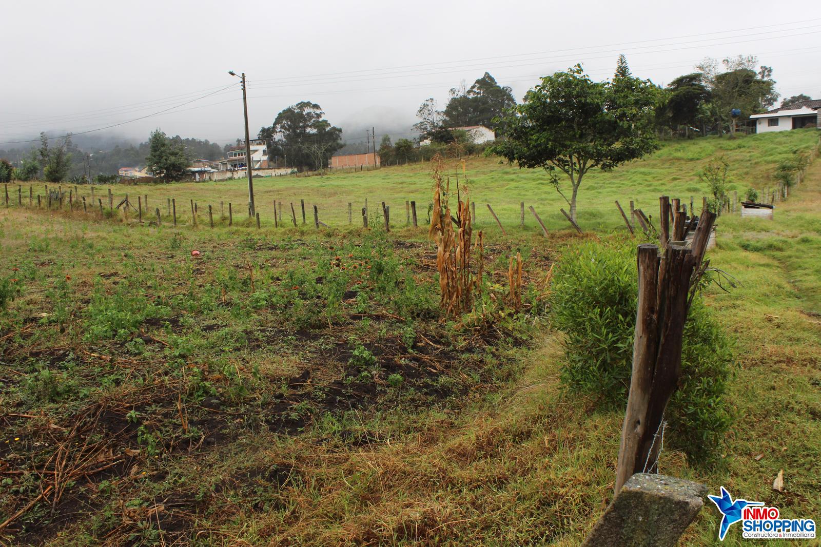 Terreno en el Sector Carigan - A 500m de la Carretera Panamericana