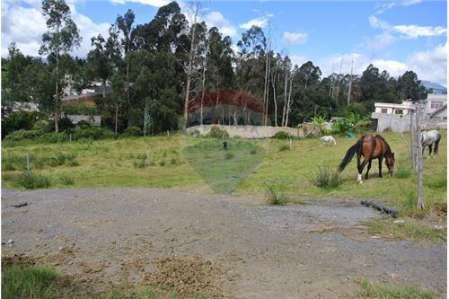 Vendo Terreno Ideal Para Proyecto Tumbaco Ruta viva