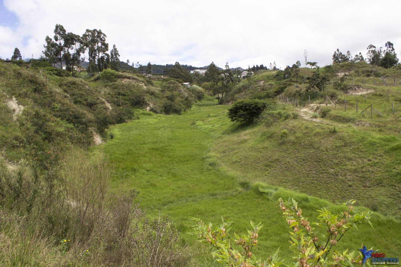 Lote en Jardines de Carigan - Lote 4 Manzana B