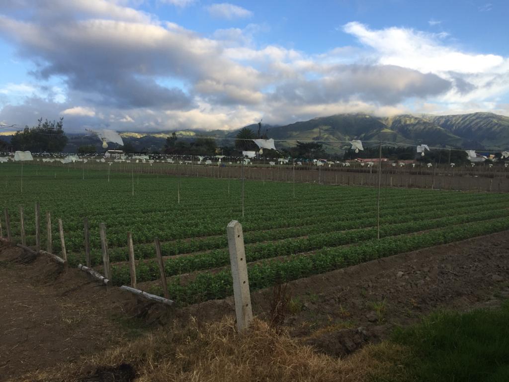 Terreno en venta en Tababela