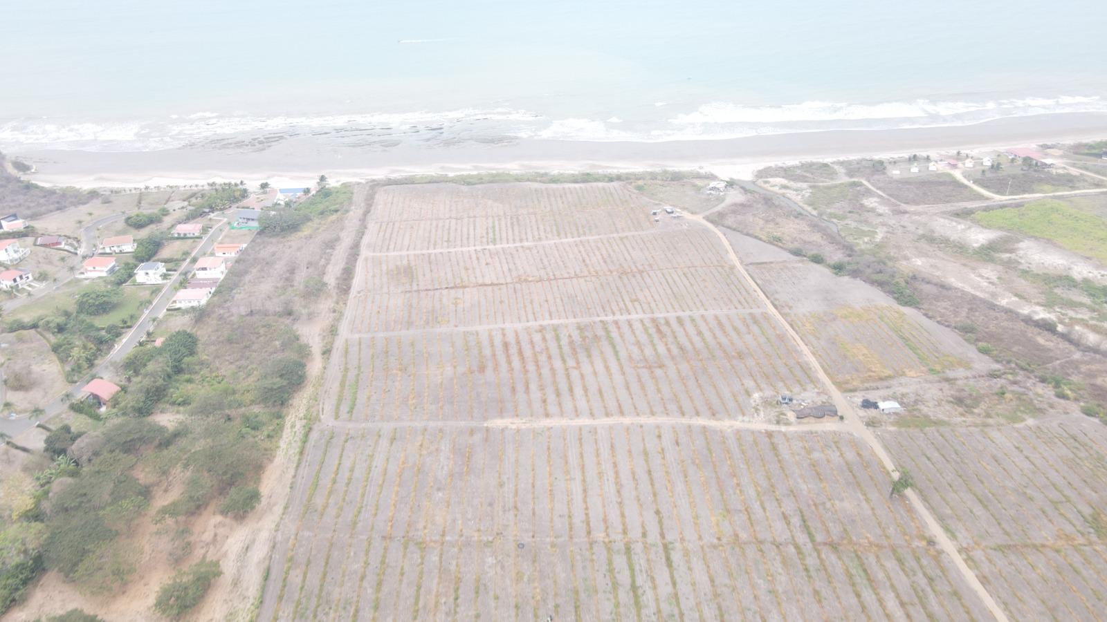 Terreno en Venta Jama frente al Mar Playa Escondida