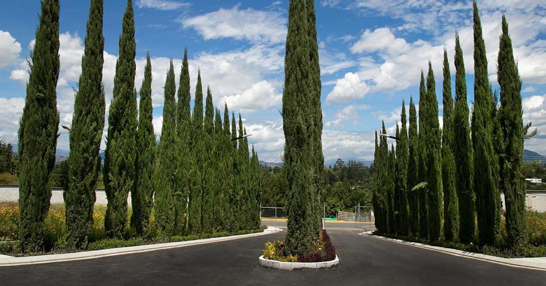 Terreno en Puembo