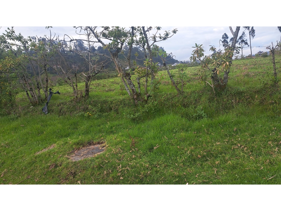 EN CARABUELA SE VENDE TERRENO