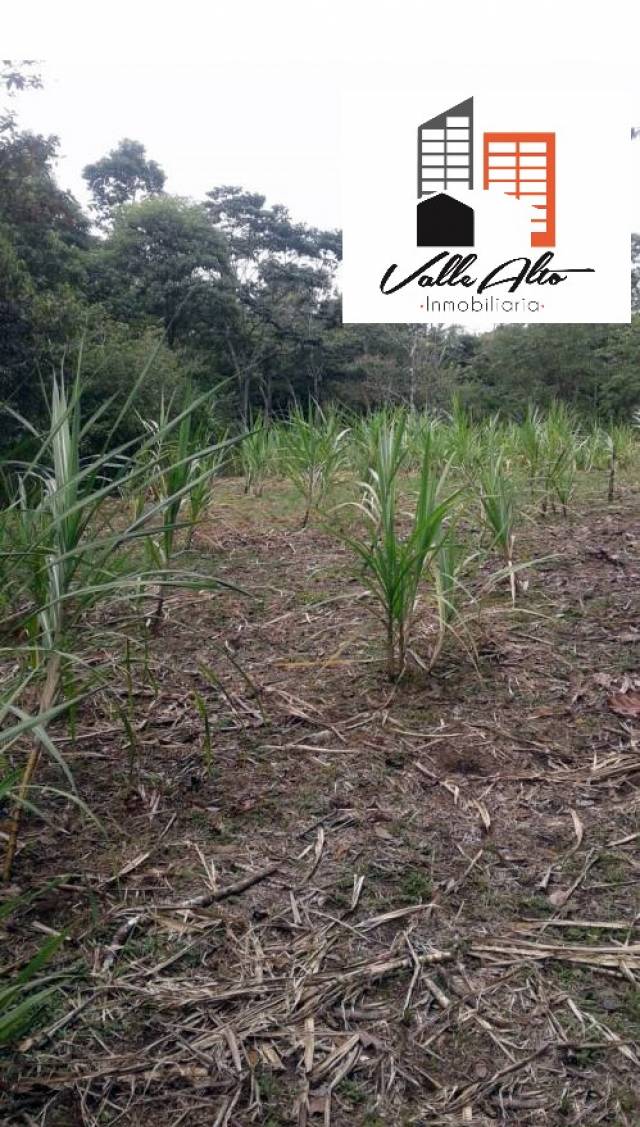 TERRENO AMPLIO EN PASTAZA, SECTOR VERACRUZ.